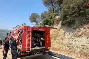 Bursa Gemlik'te çamlık alanda çıkan yangın kısa sürede söndürüldü
